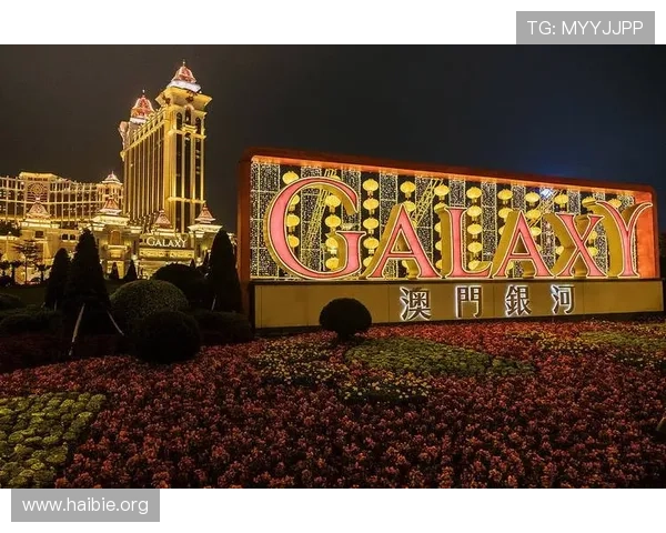 澳门真人娱乐的优势与特色，为什么越来越多玩家选择在这里尽情娱乐